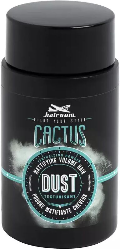 Hairgum Cactus Dust Mattifying and Volumizing Powder 15g