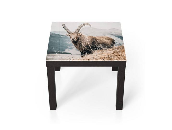 DEQORI Couchtisch 'Wächter der Berge', Glas Beistelltisch Glastisch modern