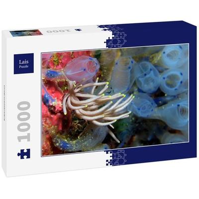 Lais Puzzle Unterwassertiere 1000 Teile