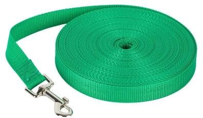 Inspired Living Adjustable Long Dog Training Leash For Recall, Walking & Outdoor Play green 1.5m