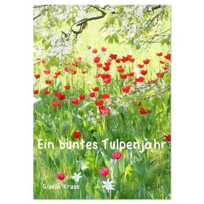 Ein buntes Tulpenjahr (Wandkalender 2026 DIN A2 hoch), CALVENDO Monatskalender