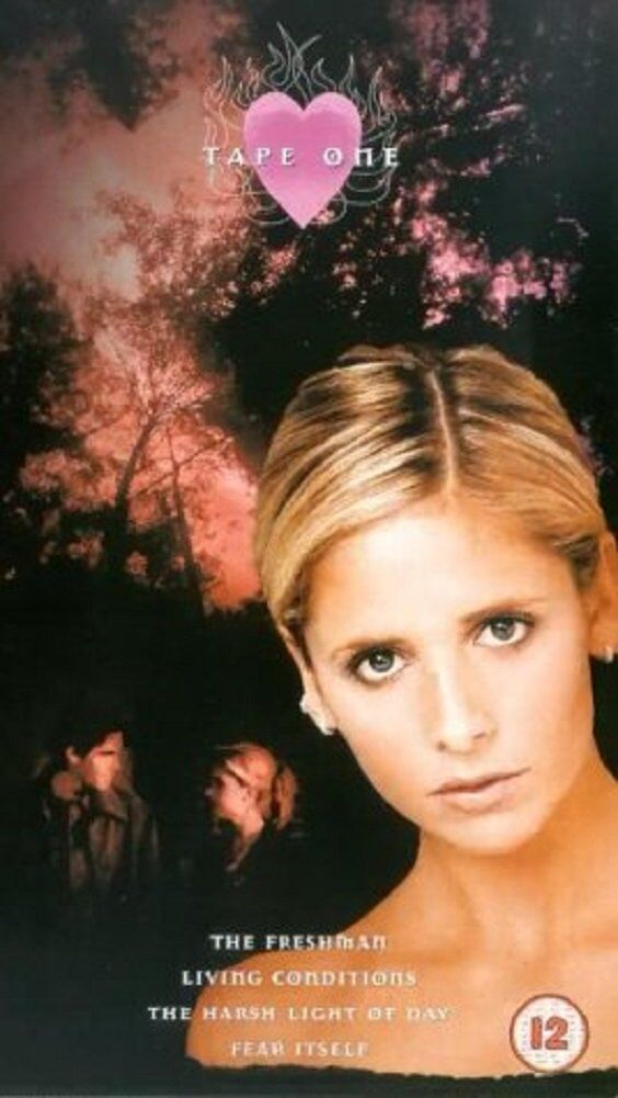 Bill Norton - Buffy - The Vampire Slayer Season 4 (Box Set 1) [UK-Import] [VHS] - Preis vom 15.10.2026 23:06:25 h