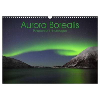 Aurora Borealis: Polarlichter in Norwegen (Wandkalender 2026 DIN A3 quer), CALVENDO Monatskalender