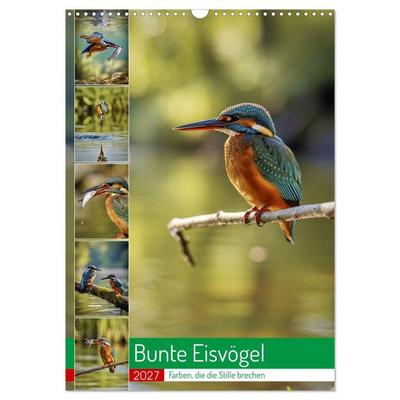 Bunte Eisvögel (Wandkalender 2027 DIN A3 hoch), CALVENDO Monatskalender