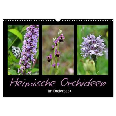 Heimische Orchideen im Dreierpack (Wandkalender 2027 DIN A3 quer), CALVENDO Monatskalender