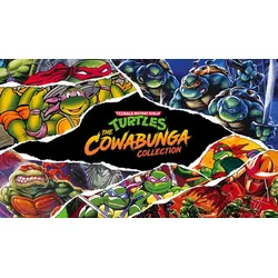 Teenage Mutant Ninja Turtles: The Cowabunga Collection