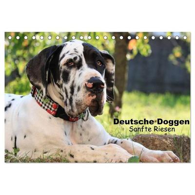 Deutsche Doggen - Sanfte Riesen (Tischkalender 2027 DIN A5 quer), CALVENDO Monatskalender