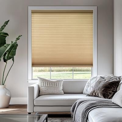 CHICOLOGY Cordless Light Filtering Cellular Shades Privacy and Style