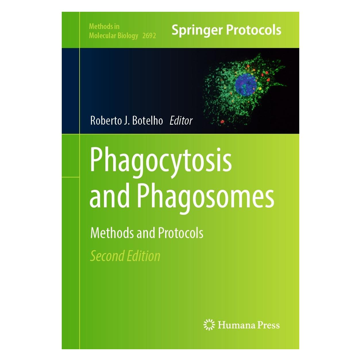 Springer Phagocytosis and Phagosomes (Englisch, Hardcover, Roberto J. Botelho) (9781071633373)
