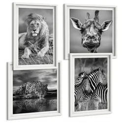 BILDER SET 4er Set - 50x50 cm & 40x60 cm Weißer Rahmen - Wildtiere Löwe Jaguar Giraffe Zebras