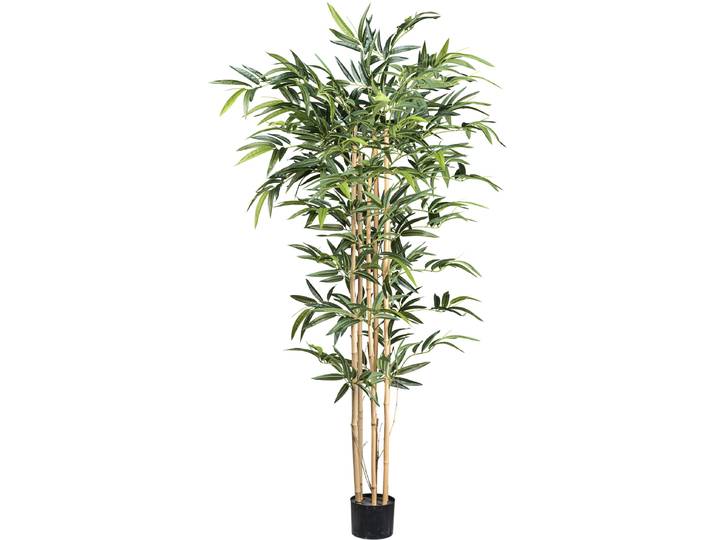 Kunstbaum CREATIV GREEN Bambus , grün, H:150cm, Kunstpflanzen, Kunstbaum, mit echten Bambusstäben