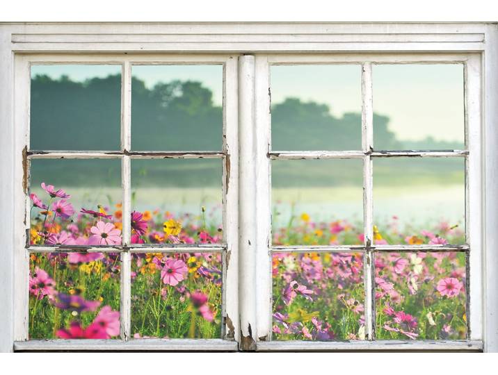Leinwandbild QUEENCE Blumenwiese , bunt (farbe bild(er): bunt), B:40cm H:60cm, Canvas, Holzrahmen, Bilder, Leinwandbild, Premium-Leinwandstoff