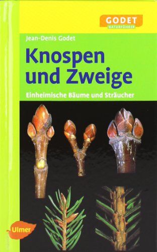Jean-Denis Godet - Knospen und Zweige - Einheimische Bäume und Sträucher - Preis vom 01.10.2026 17:08:56 h
