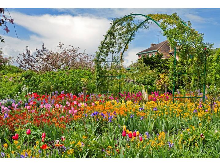 Papermoon GARTEN MONET-BLUMEN BÄUME PFLANZEN PARK STEINE BLÜTEN
