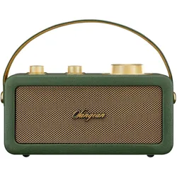 Sangean RA-101 Akku-Radio FM Bluetooth, AUX wiederaufladbar Grün, Gold (FM, Bluetooth), Radio, Grün, Gold