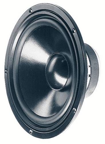 Visaton W 250 S - 8 Ohm 10 Zoll 25.4cm Tieftöner 100W 8Ω