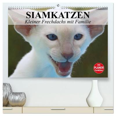 Siamkatzen - Kleiner Frechdachs mit Familie (hochwertiger Premium Wandkalender 2027 DIN A2 quer), Kunstdruck in Hochglanz