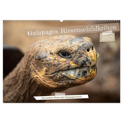 Die Riesenschildkröten der Galapagos Inseln (Wandkalender 2027 DIN A2 quer), CALVENDO Monatskalender
