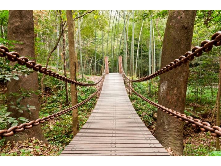 Fototapete PAPERMOON Suspension Bridge , bunt, B:2,5m L:1,8m, Vlies, Tapeten, Fototapete