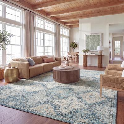 SAFAVIEH Evoke Candi Distressed Vintage Boho Rug