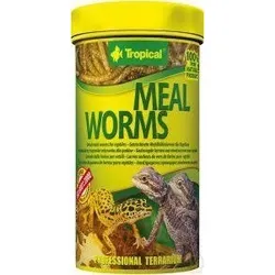 TROPICAL Meal Worms 250ml