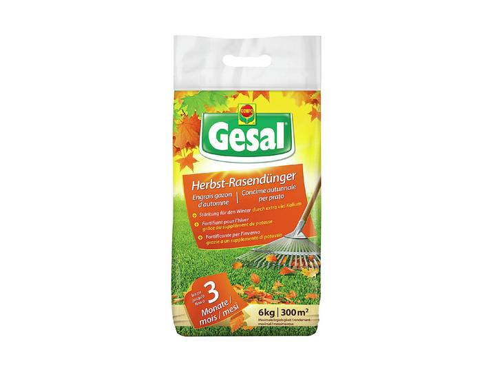 Gesal Herbst-Rasendünger 6 kg