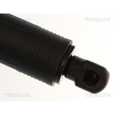 TRISCAN 8710 14303 für NISSAN