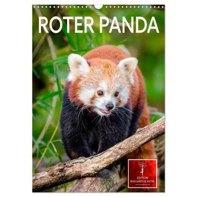Roter Panda (Wandkalender 2027 DIN A3 hoch), CALVENDO Monatskalender