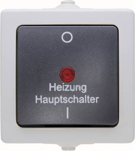 Kopp 565356002 Feuchtraum-Schalterprogramm Heizungs-Notschalter Nautic Grau 1St.