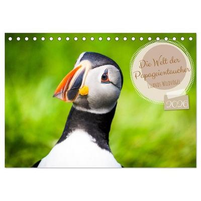 Die Welt der Papageientaucher - Islands Wildvögel (Tischkalender 2026 DIN A5 quer), CALVENDO Monatskalender