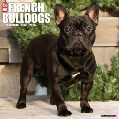 French Bulldogs 2026 Wall Calendar