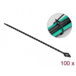 Delock 19569 Kabelbinder Schwarz Wiederverwendbar 100 St.