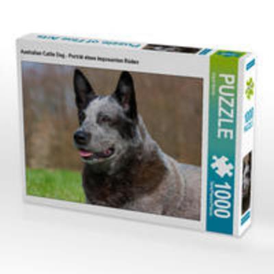 CALVENDO Puzzle Australian Cattle Dog - Porträt eines imposanten Rüden 1000 Teile Lege-Größe 64 x 48 cm Foto-Puzzle Bild von Sigrid Starick