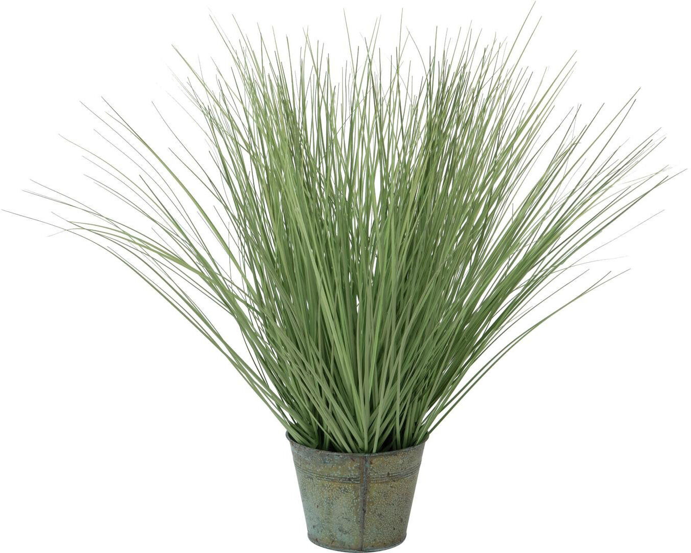 Europalms Ziergras, 65cm