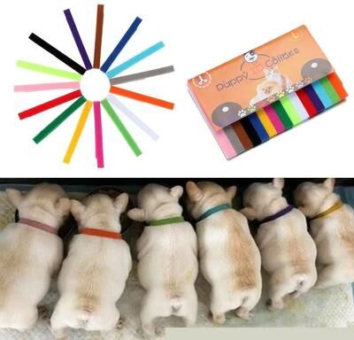 Uplifted Finds 15 Piece Adjustable Nylon Newborn Pet Identification Collars m