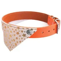 Martin Sellier Miami (Hund, Spazieren), Halsband + Leine
