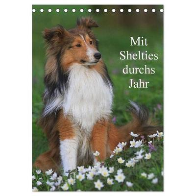 Mit Shelties durchs Jahr (Tischkalender 2027 DIN A5 hoch), CALVENDO Monatskalender