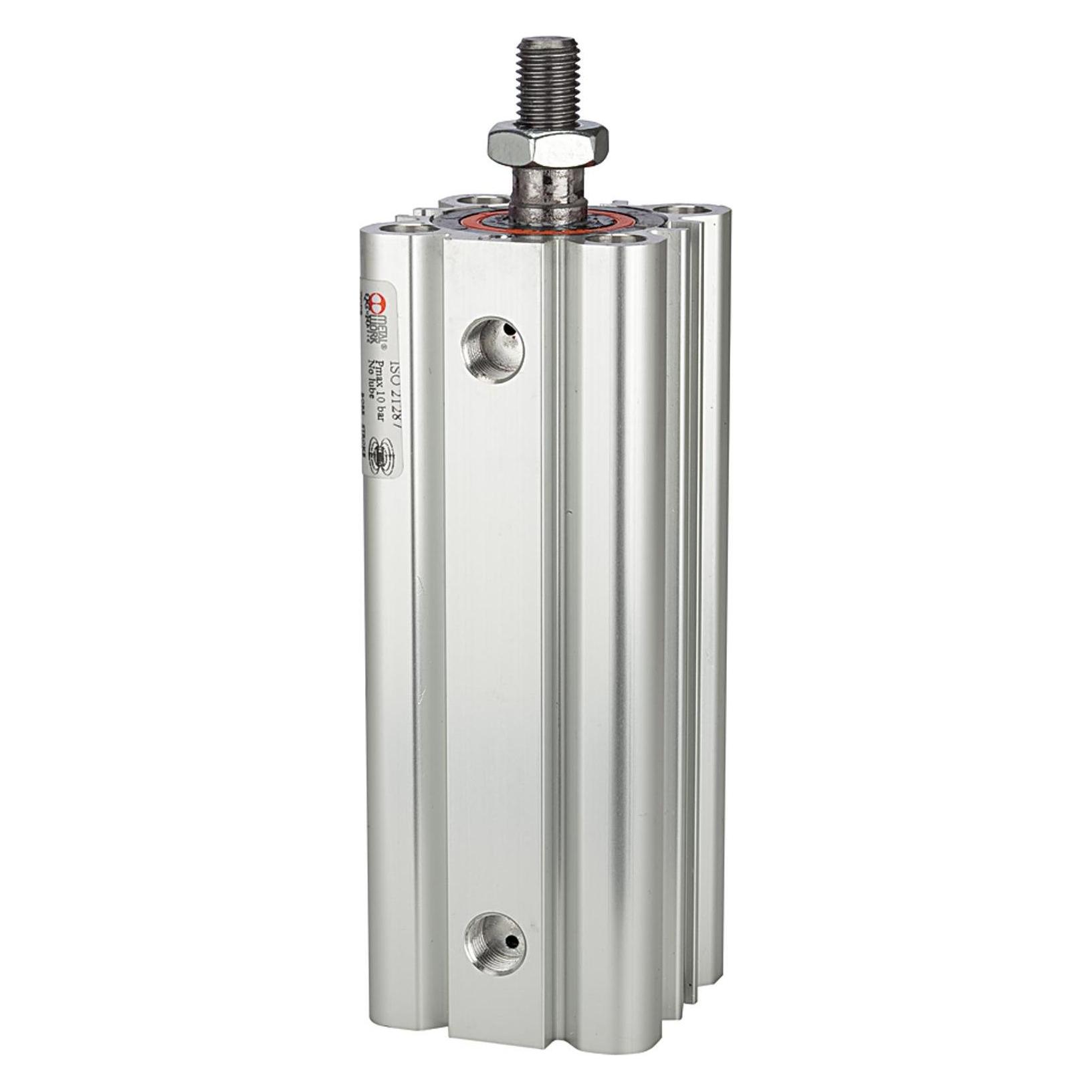 Riegler Kompaktzylinder LINER doppeltwirkend AG Kolben 100mm Hub 20 G1/8 (7.DMA.100020)