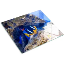 GLASPLATTE 60x52 cm Tropische Fische
