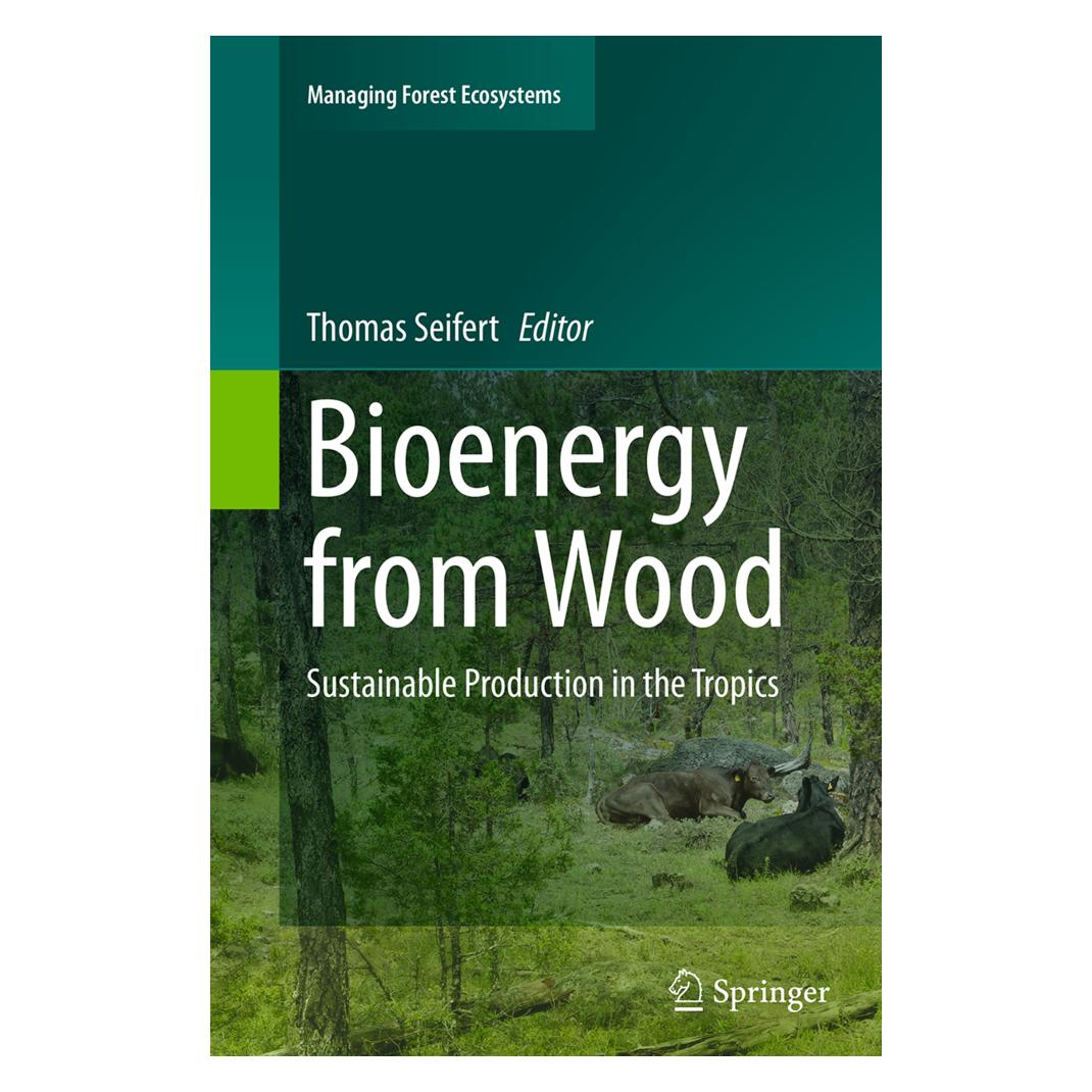 Springer Bioenergy from Wood (Englisch, Softcover, Thomas Seifert) (55846842)