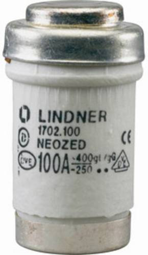 Mersen 01702.080000 Neozed-Sicherung Sicherungsgröße = D03 80A 400V