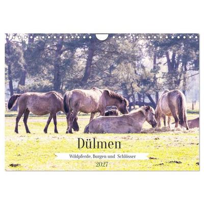 Dülmen - Wildpferde, Burgen und Schlösser (Wandkalender 2027 DIN A4 quer), CALVENDO Monatskalender