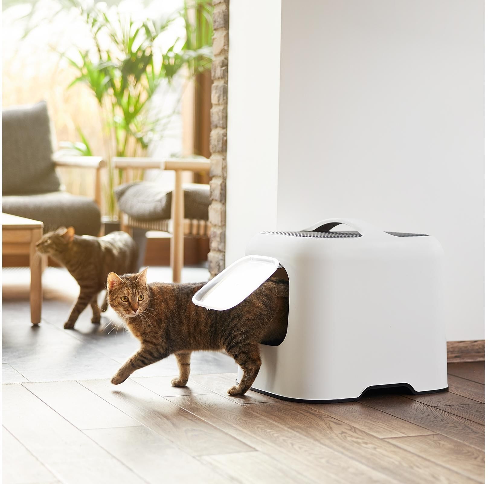 Katzentoilette ROTHO "BIALA", weiss (weiß), B:35,9cm H:44,3cm L:51cm, Tiertoiletten, Katzentoilette weiß B/H/L: 35,9cm x 44,3cm x 51cm