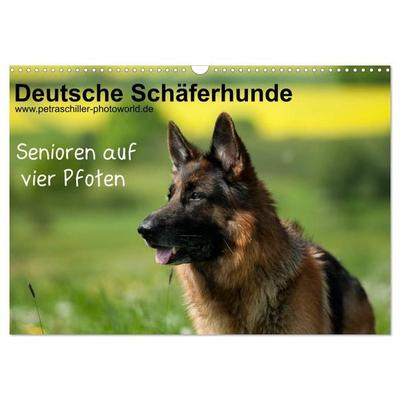 Deutsche Schäferhunde - Senioren auf vier Pfoten (Wandkalender 2026 DIN A3 quer), CALVENDO Monatskalender