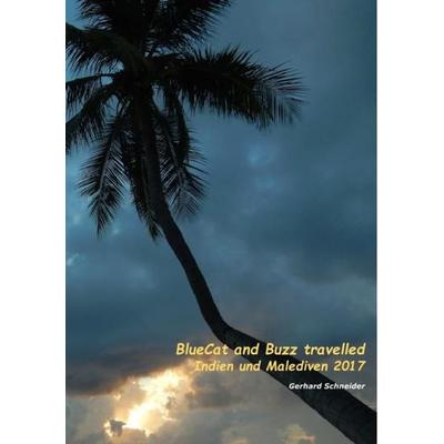 Buzz travelled / BlueCat and Buzz travelled, Taschenbuch von Gerhard Schneider, Epubli, 978-3-7450-6717-0