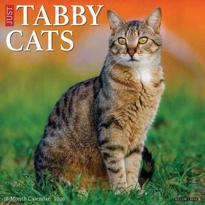 Tabby Cats 2026 Wall Calendar