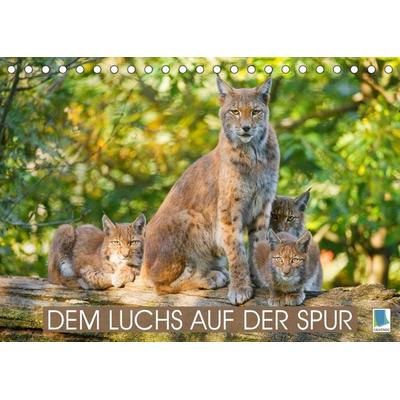Dem Luchs auf der Spur (Tischkalender 2022 DIN A5 quer)