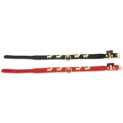 Martin Sellier Terrier (Hund, Spazieren), Halsband + Leine