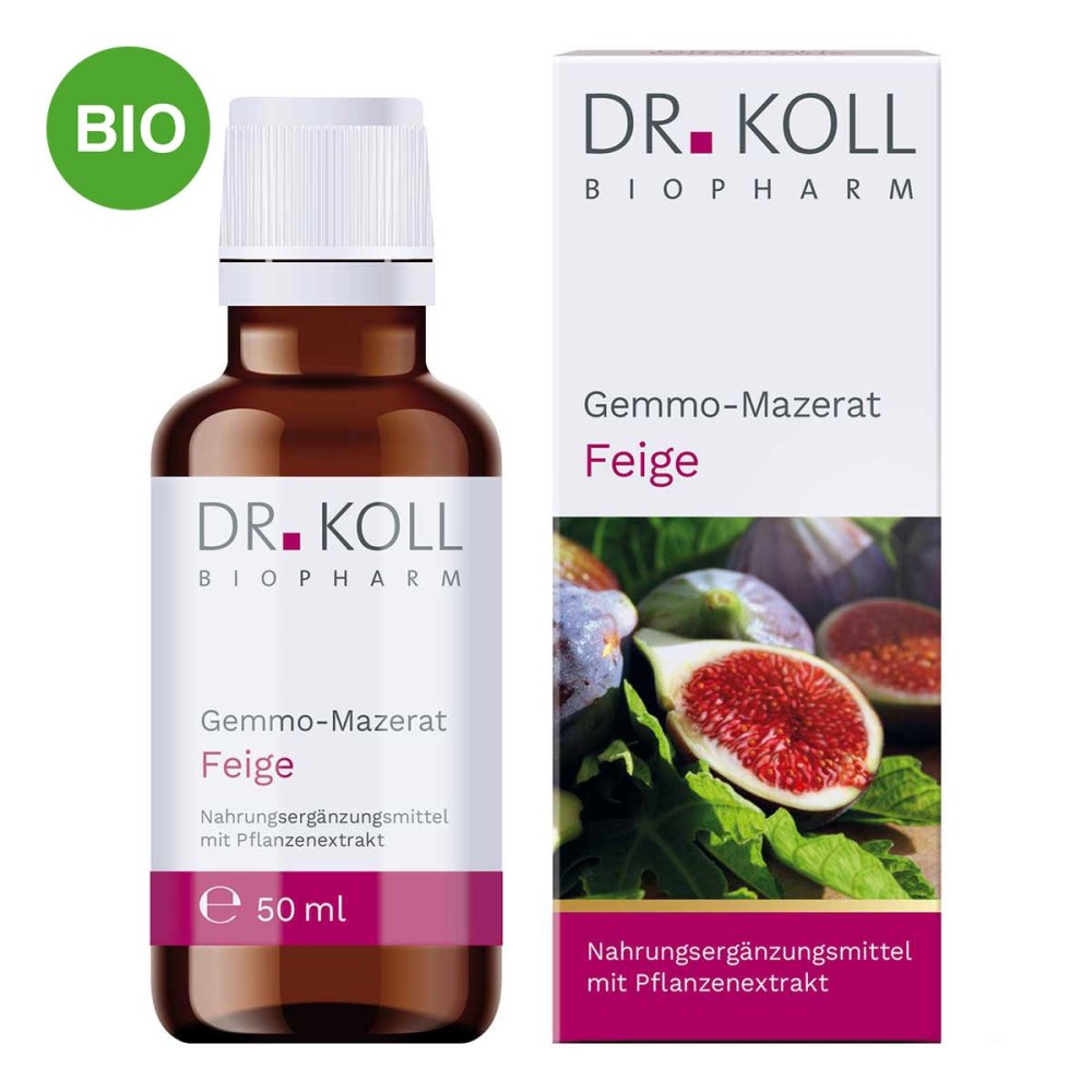 Dr. Koll Biopharm GmbH Gemmo Mazerat Feige Doktor koll Ficus Carica Tropfen 18468005