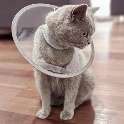 Uplift Picks Reusable Lightweight Cat Recovery Cone Collar For Anti Bite And Lick Protection xl